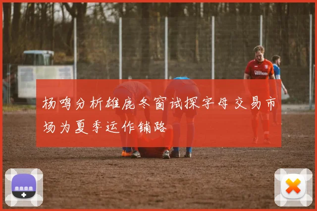 杨鸣分析雄鹿冬窗试探字母交易市场为夏季运作铺路