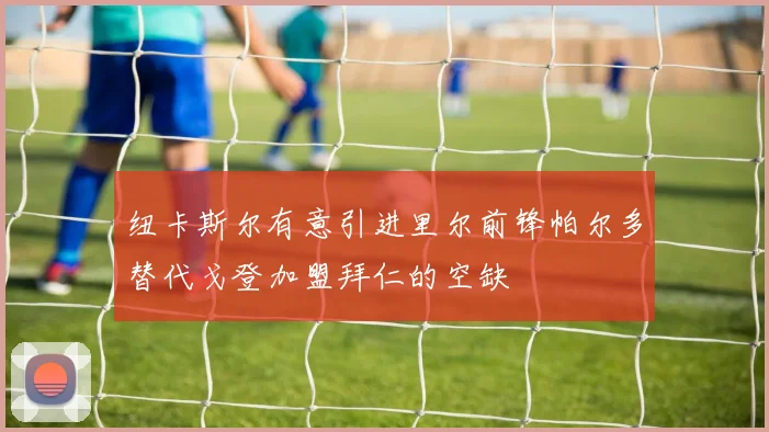 纽卡斯尔有意引进里尔前锋帕尔多替代戈登加盟拜仁的空缺