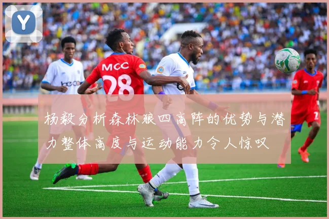 杨毅分析森林狼四高阵的优势与潜力整体高度与运动能力令人惊叹